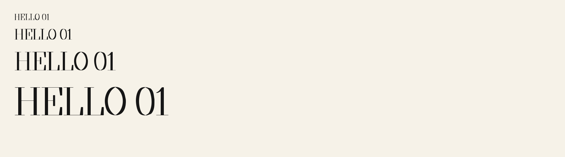 Salon Didone sizes specimen
