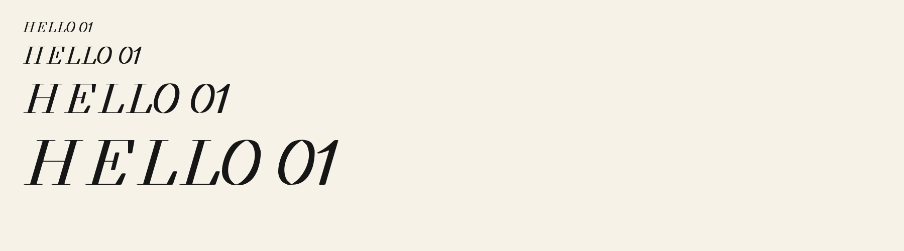 Salon Italic sizes specimen