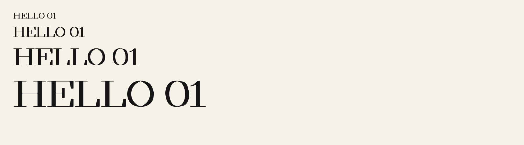 Atelier Wide sizes specimen