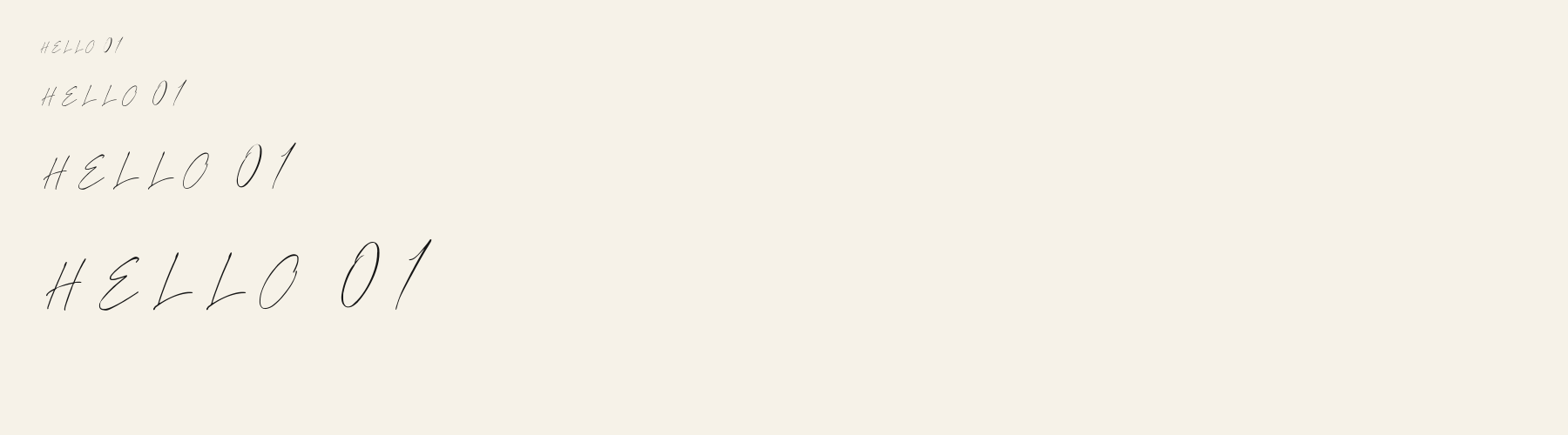 Script Signature Thin sizes specimen