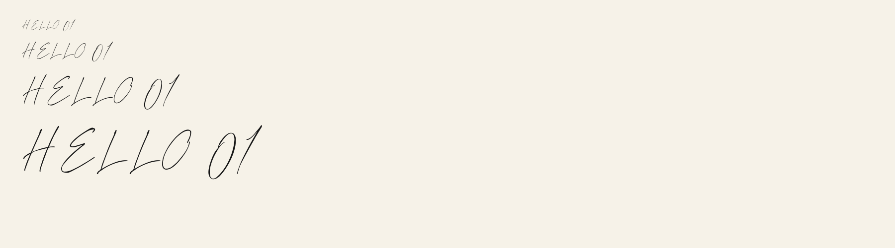 Script Signature Thin sizes specimen